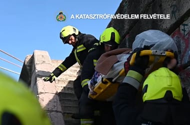 Thumbnail for 7048792