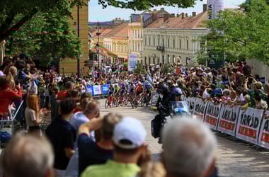 Thumbnail for 7049025