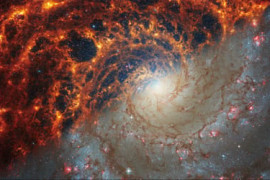 Thumbnail for 7049046