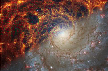 Thumbnail for 7049046