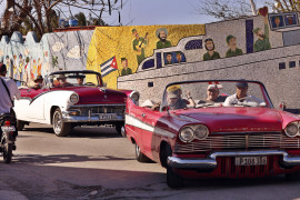 Thumbnail for 7049084