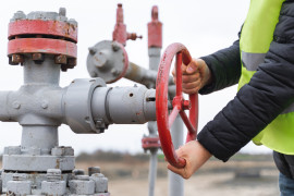 Thumbnail for 7049087