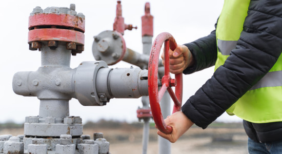 Thumbnail for 7049087