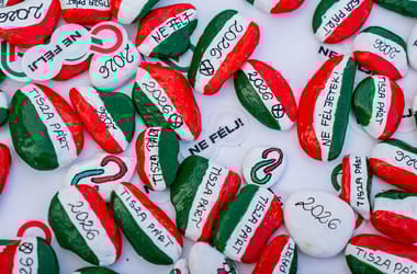 Thumbnail for 7049205