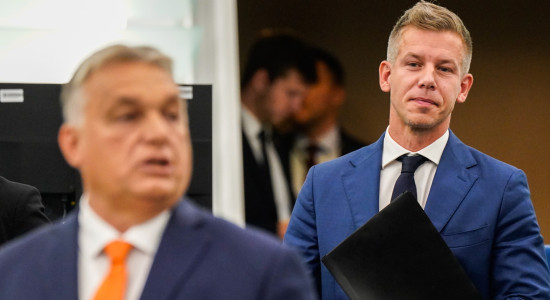 Thumbnail for 7049532