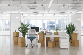 Thumbnail for 7049551