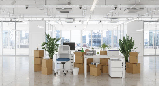 Thumbnail for 7049551