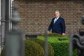 Thumbnail for 7049664