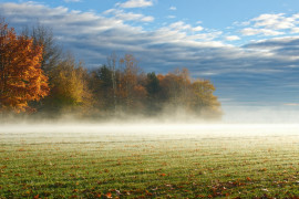 Thumbnail for 7049782