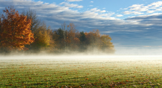 Thumbnail for 7049782