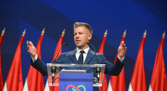 Thumbnail for 7049810