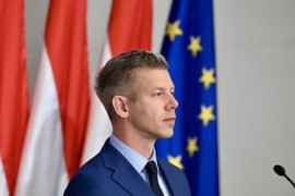 Thumbnail for 7049890