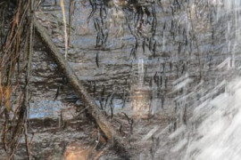 Thumbnail for 7049939