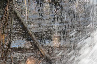 Thumbnail for 7049939