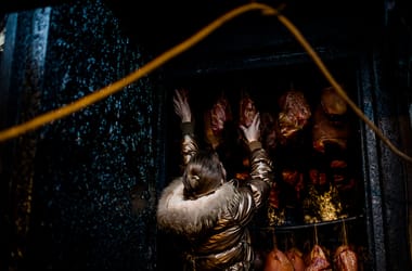 Thumbnail for 7050087