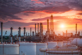 Thumbnail for 7050129