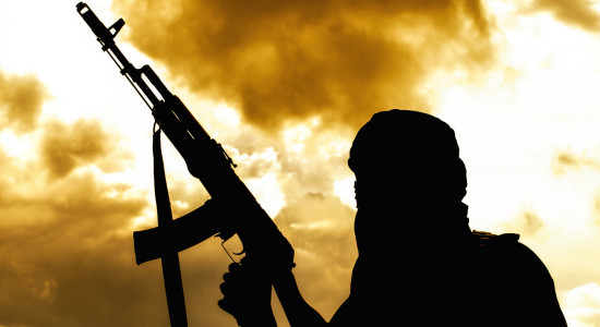 Thumbnail for 7050310