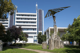 Thumbnail for 7050349