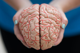 Thumbnail for 7050443