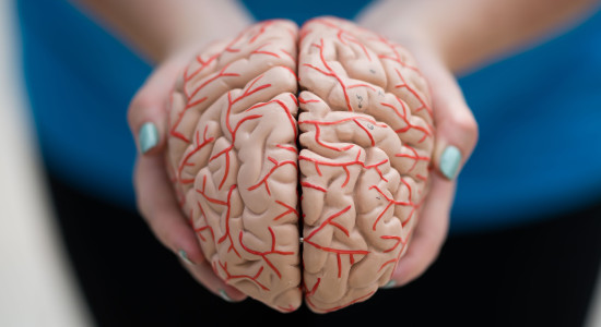 Thumbnail for 7050443