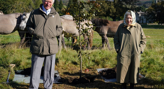 Thumbnail for 7050525