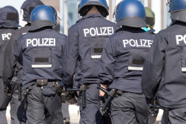 Thumbnail for 7050545