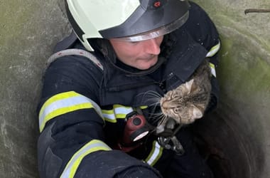 Thumbnail for 7050726