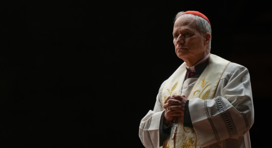 Thumbnail for 7050733