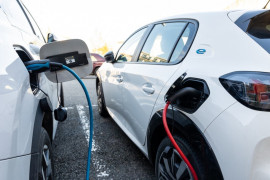 Thumbnail for 7050861