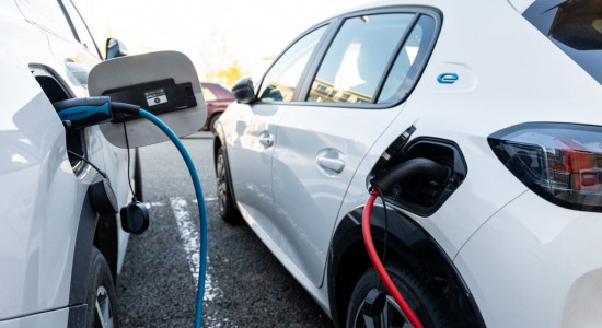 Thumbnail for 7050861