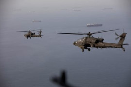 Thumbnail for 7051001