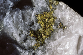 Thumbnail for 7051209