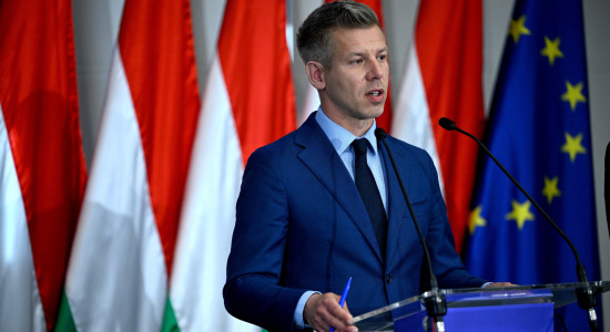 Thumbnail for 7051239