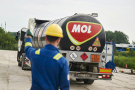 Thumbnail for 7051455