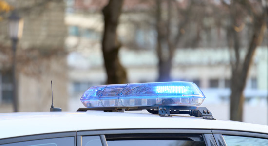 Thumbnail for 7051956