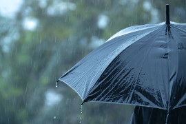 Thumbnail for 7052256