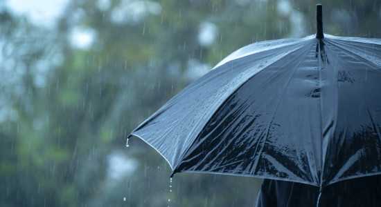 Thumbnail for 7052256