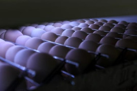 Thumbnail for 7052758