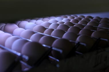 Thumbnail for 7052758