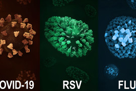 Thumbnail for 7053352