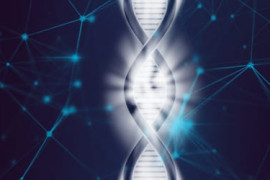 Thumbnail for 7053717