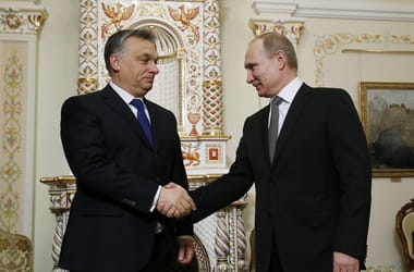 Thumbnail for 7053797