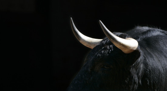 Thumbnail for 7053961