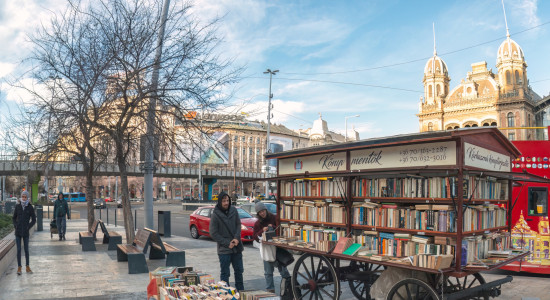 Thumbnail for 7053968