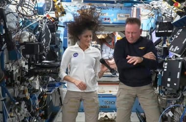 Thumbnail for 7054057