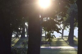 Thumbnail for 7054264