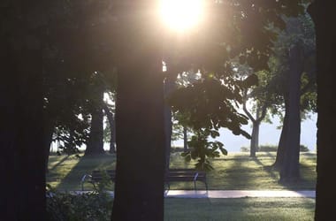 Thumbnail for 7054264