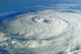 Thumbnail for 7054462