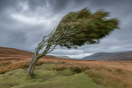 Thumbnail for 7054781