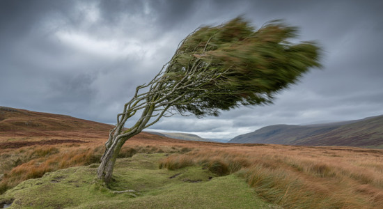 Thumbnail for 7054781